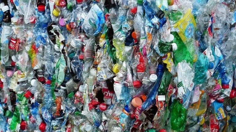 cinli bilim insanlari kendi kendini yok eden yasayan plastikler yaratti yDLgftZ1