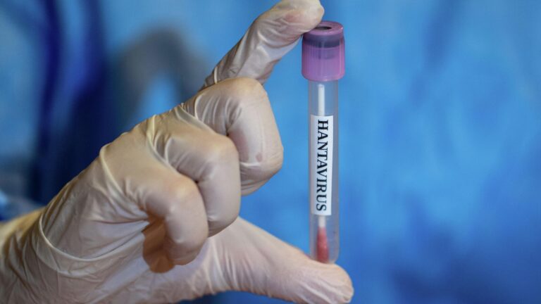 israilde bir sahista hantavirus tespit edildi gemideki olaylarin akabinde ilk Iq25efjB