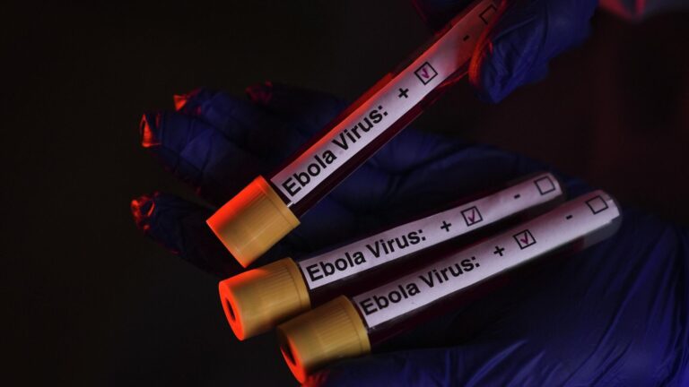 Kenya Yüksek Mahkemesi ABD'nin Kenya'da Ebola karantina tesisi kurma planını süreksiz olarak durdurdu 5 kenya yuksek mahkemesi abdnin kenyada ebola karantina tesisi kurma planini sureksiz olarak durdurdu J2n6Ryab