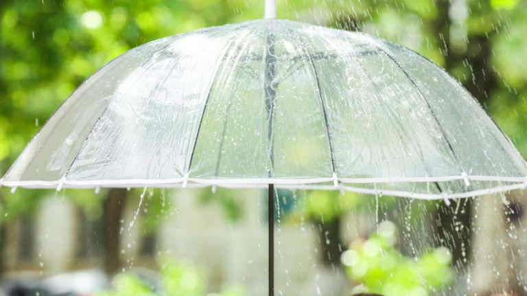 meteorolojiden guney dogu bolgeleri icin kuvvetli saganak uyarisi kuzeyde sicakliklar dusuyor x9HEGE7R