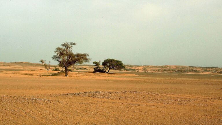 sahra colunde facia araclari bozulan en az 49 kisi susuzluktan oldu qsLjef95