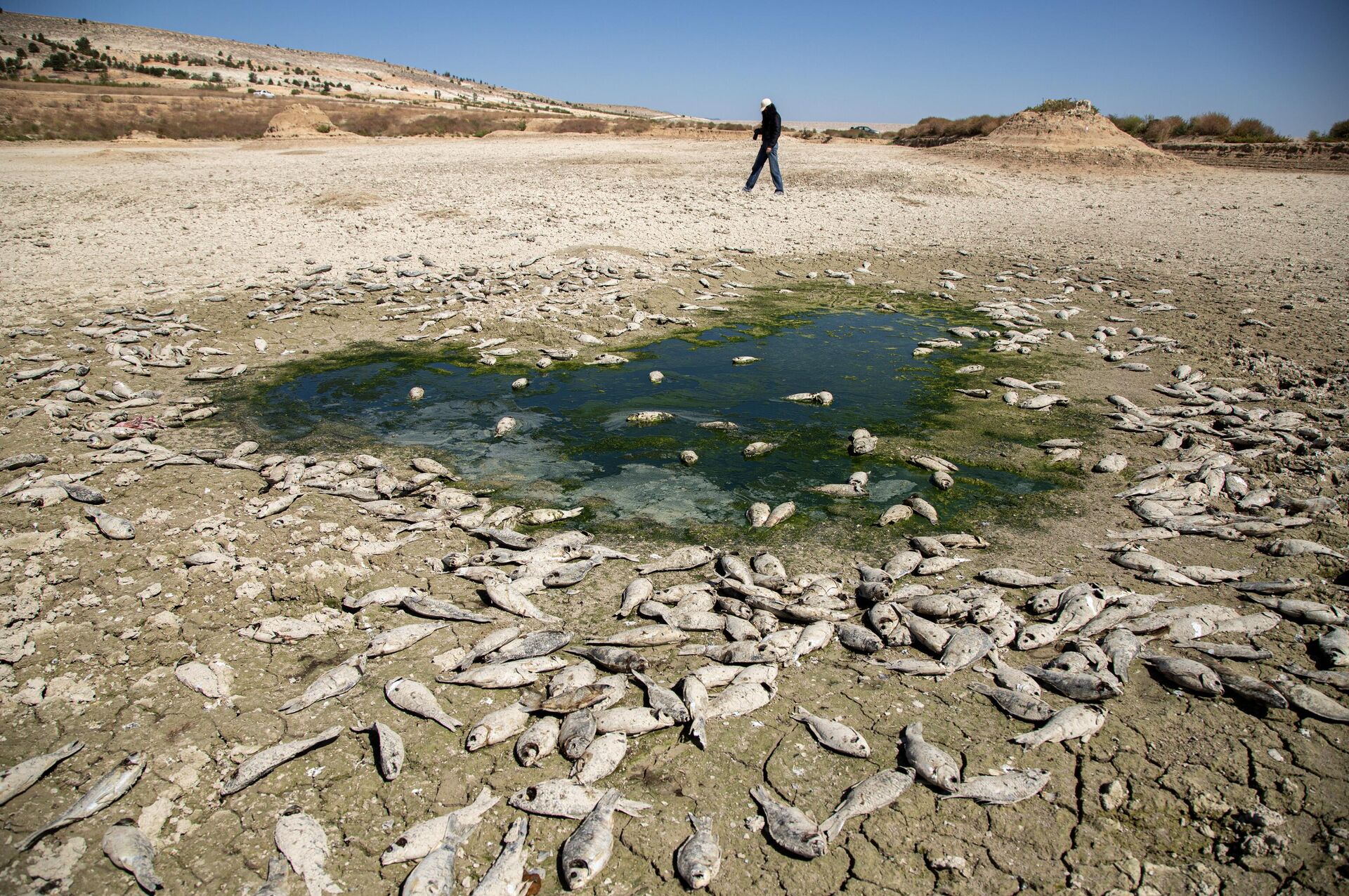 Üstün El Nino resmen başladı: Dünyayı neler bekliyor? 4 ustun el nino resmen basladi dunyayi neler bekliyor 2 1Dkv2yLU